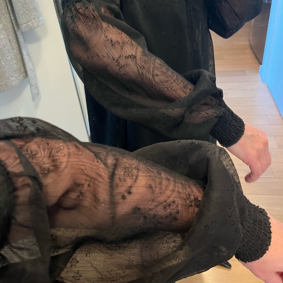 BB Dakota Jack Sheer Dress - Picture 4 of 11